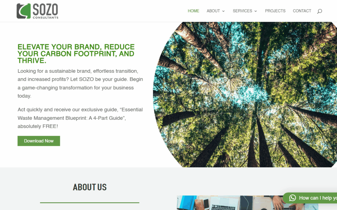 SOZO Consultants | Sustainability, Waste Management & More