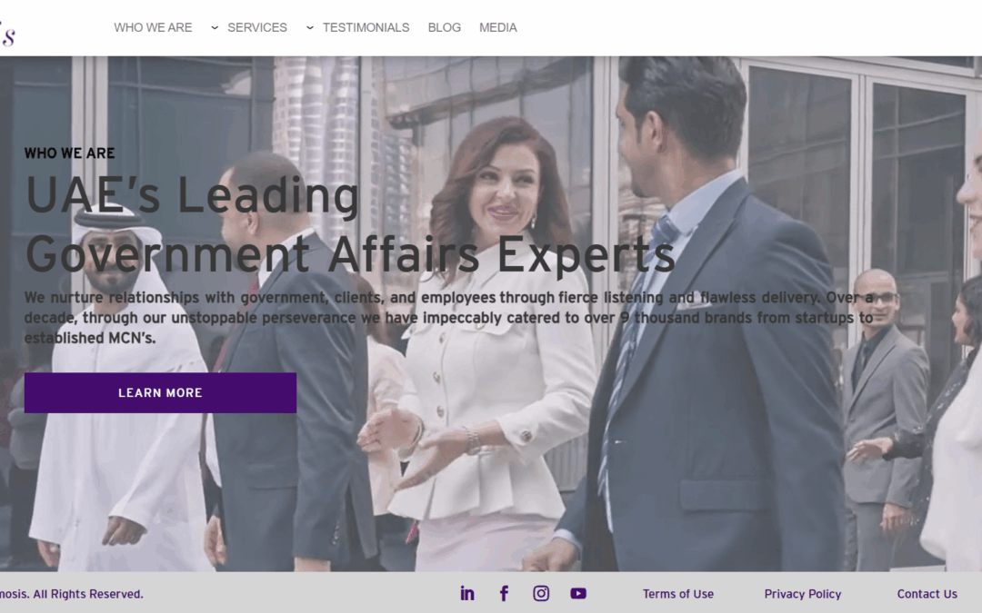 Bizzmosis | The UAE’s Leading Government Affairs and Business Licensing Experts